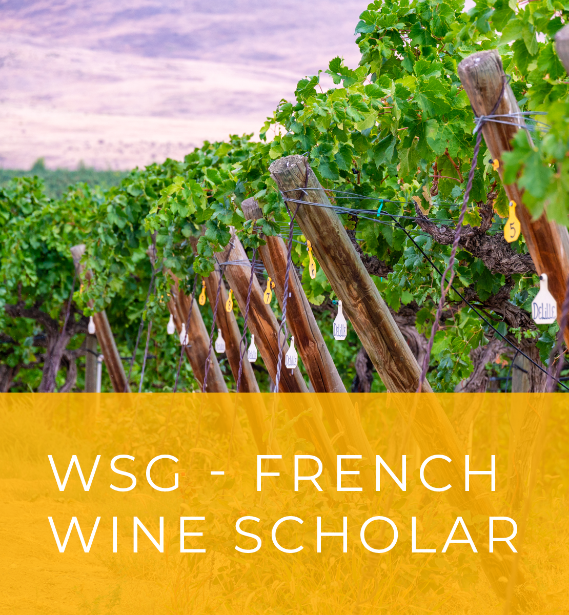 WSG French Wine Scholar