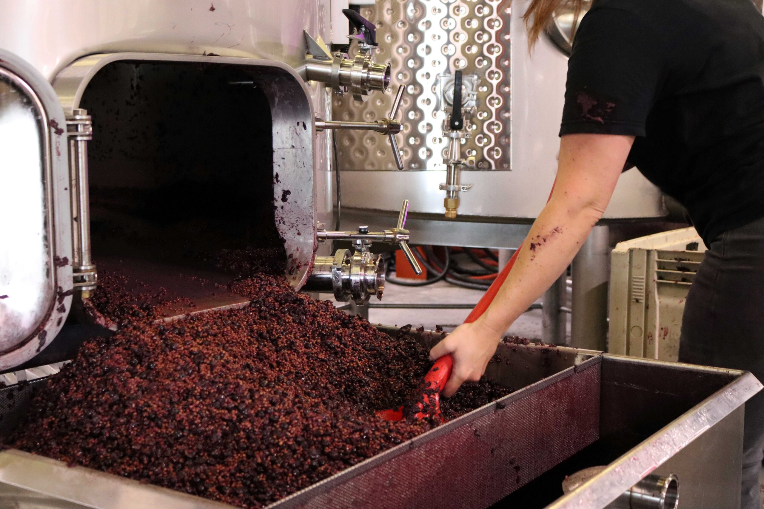 Meet the Women of DeLille Winemaking