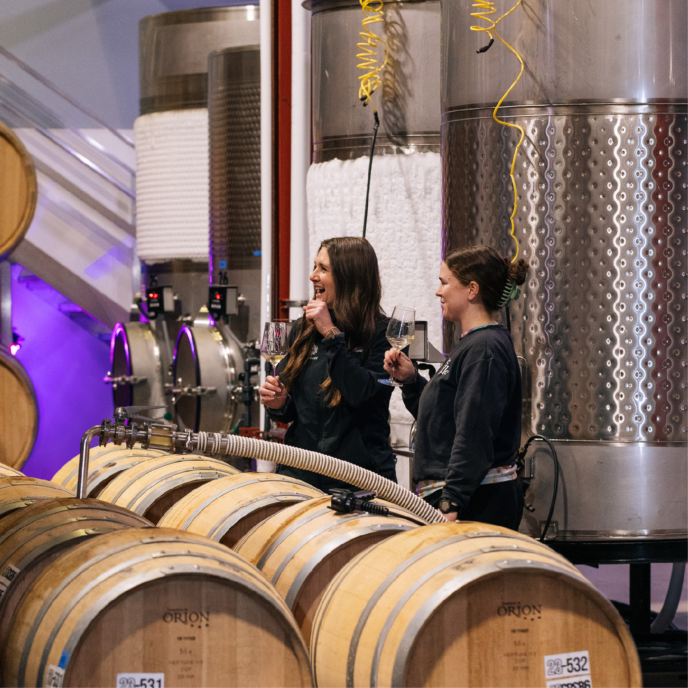 Winery Tour & Food Pairing Experience