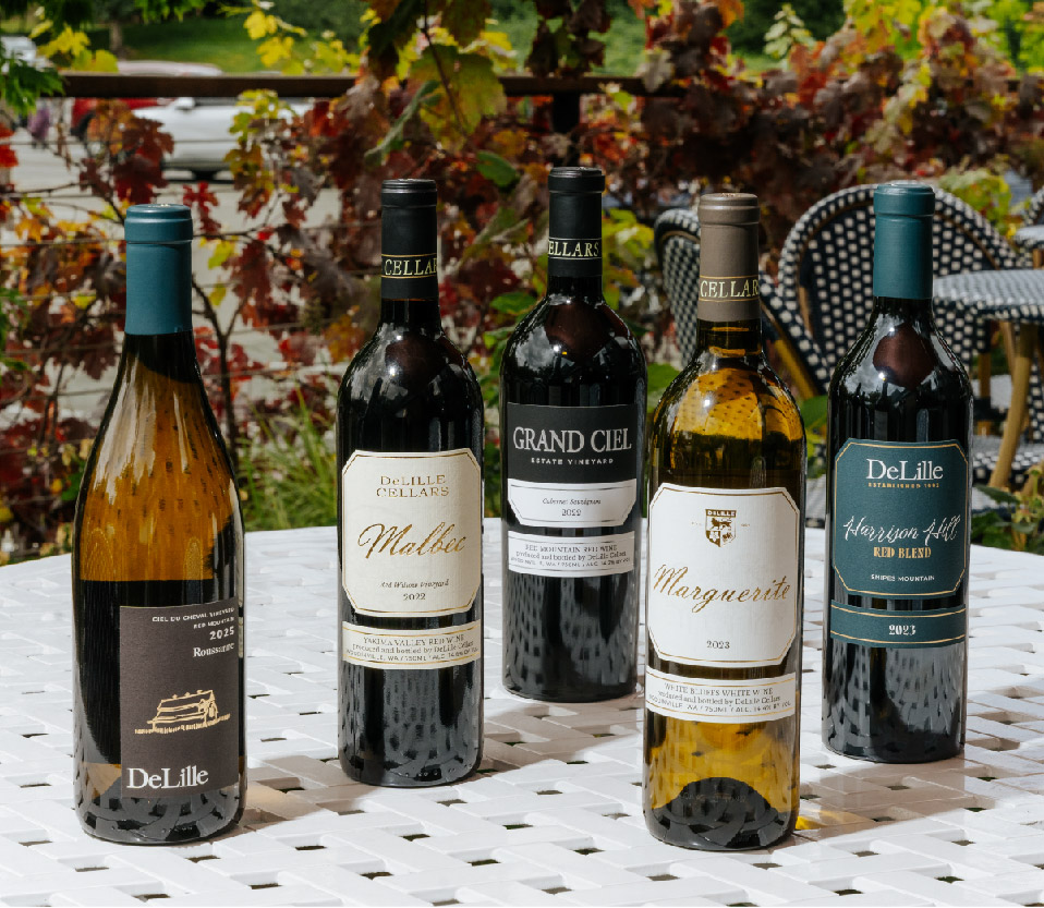 New Releases-01